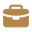 Business icon
